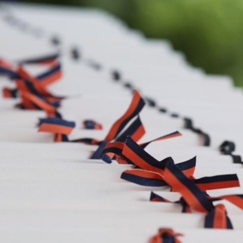Row of Scrolls