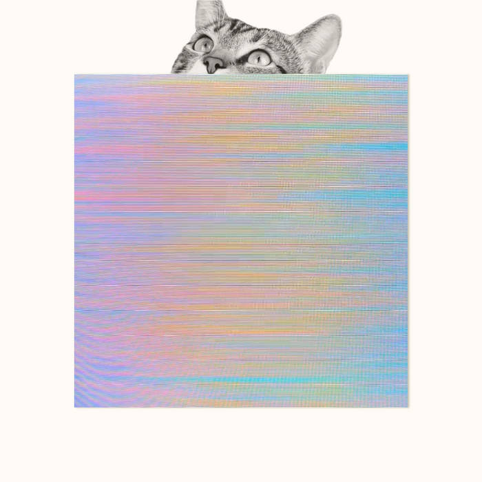 The musical duo Trash Cats