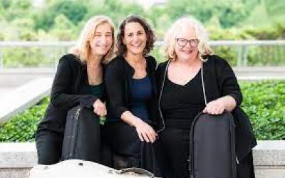 Vivaldi Project